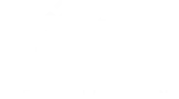 Nieuwe collectie